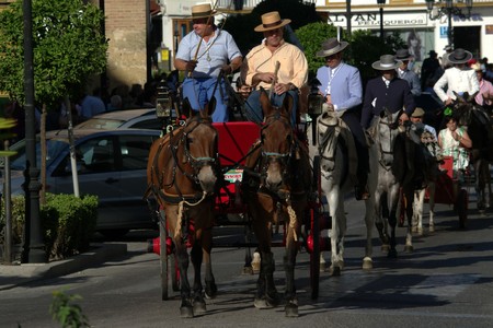 Carmona (Seville) - September 5th 2010. - Patron saint celebrations. Carts and horsesのeditorial素材