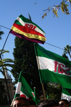 Seville, Spain.- 14 November 2012.-Flags in the demonstration of the general strike 7のeditorial素材