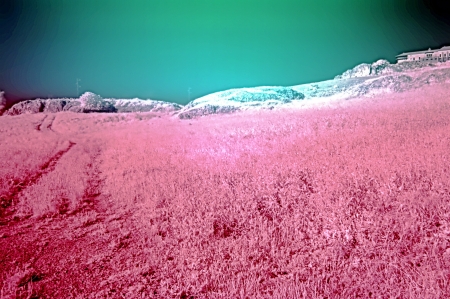 Infrared photography  landscape 28