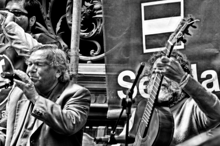 Spain, Seville, 1st May, 2013: Labour Day. Flamenco singer at a political rally 20のeditorial素材