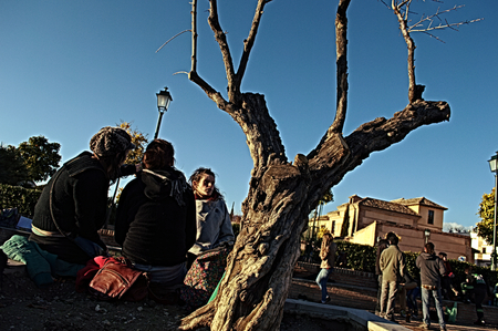 Granada  Spain   19th February 2014 - Urban life  Outdoors party  12 のeditorial素材