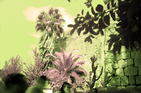 Infrared photography 4 - By the treesの写真素材