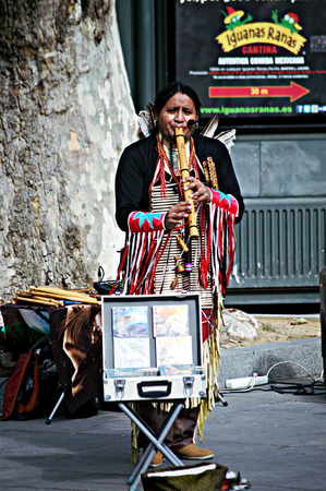 Seville, 15th February 2005 - Urban life -People Indian musician