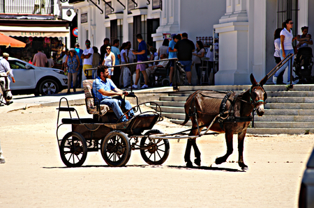 El Rocio Huelva Spain 17th May 2015  Donkey and cart at El Rocioのeditorial素材
