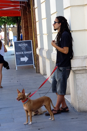 Seville Spain 5th August 2016 - Urban life - Young man with two dogsのeditorial素材