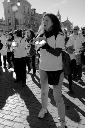 Seville, 15th January 2017. Political demonstration in behalf of public health servicesのeditorial素材