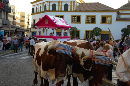 Dos Hermanas (Seville) 15th October 2017 - Celebrations: Valme pilgrimageのeditorial素材