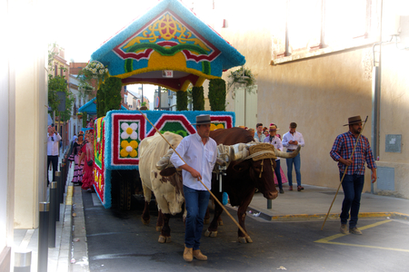 Dos Hermanas, Seville, 15th October 2017 - Valme pilgrimage and celebrationのeditorial素材