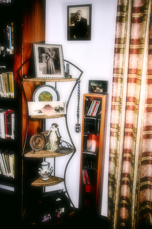 Home corners: Studio and library (detail)のeditorial素材