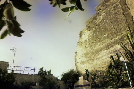 A Roman wall in infrared photography (Carmona - Seville)