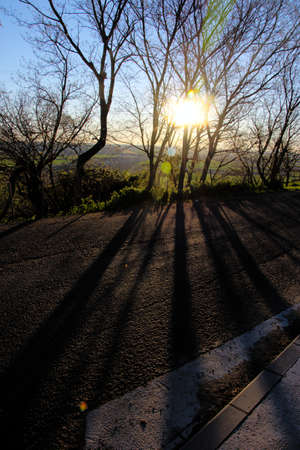 This is a landscape just outside Carmona, Seville. It is very early in the morningの写真素材