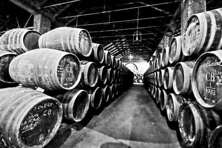 This is a cellar in a winery in Montilla, Cordoba. They even have some gadgets o keep constant temperature in a land with very hot summers.These building are specially designed gadgets to create micro-climatesの写真素材