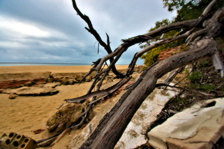 This is is a very lonely beach in Huelva. There are very few buildings and the wild life is fully respectedの写真素材