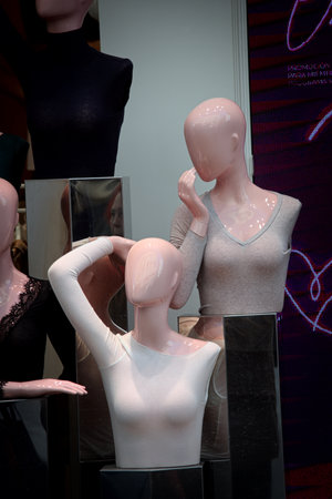 This is a fashion shop. They sell clothes and underwear. But mosat of all they sell eternal beautyの写真素材