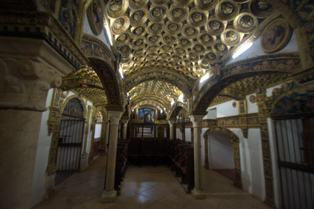 Interior of La Colegiata in Osuna, an ancient set of chapels and tombsの写真素材