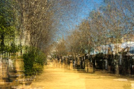The Alameda Alfonso XIII is a rather old fashioned park in Carmona. It is very beautiful and it has a retro flavourの写真素材