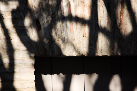 This is a composition made up from shadows on a brick wall and on top of a doorの写真素材