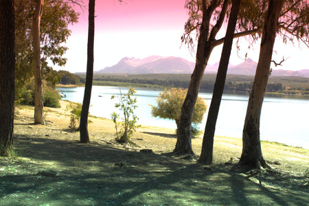 This is a reservoir at 10km from Granada. It is called Pantano de Cubillas. On the spot there are a lot of trees and peopled go there for relax and for a day in the countrysideの写真素材
