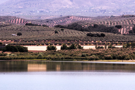 This is a reservoir at 10km from Granada. It is called Pantano de Cubillas. On the spot there are a...