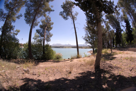 This is a reservoir called Pnatano de Cubillas. It is very near Granada.
On the spot there are a lot of trees and people go there for a day in thed countrysideの写真素材