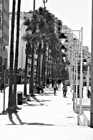 This is a promenade in Victoria Beach in Cadiz. This place is a very popular leisure resortの写真素材
