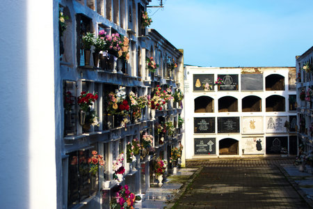 These are niches and tombs in the municipal cemetery of Carmona on a sunny morningの写真素材