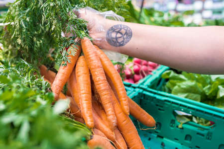 Buying carrots in a supermarket. Woman holding a bunch of carrots with her right hand. She wears transparent plastic gloves for hygiene reasons so as not to touch the vegetables with her hands.の写真素材