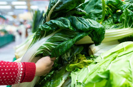 Close-up detail of young woman's hand picking up a huge bunch of fresh raw chard at the market. Out of focus background. Healthy eating concept.の写真素材