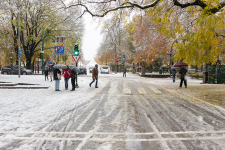 Pamplona, Spain - November 28, 2021 - Crossing of streets in the center of Pamplona, street Mayor, street Bosquecillo and avenue GuipÃºzcoa during the snowfall.のeditorial素材