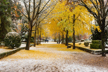 Pamplona, Spain - November 28, 2021 - People with umbrellas stroll through the snowy Parque de la Taconera park.のeditorial素材