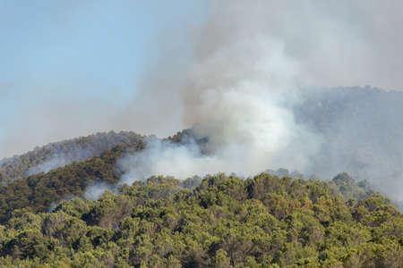 Large column of smoke from a fire advancing towards the municipality of Guirguillano in Navarre, Spain. Forest burning with great intensity. June 2022の写真素材