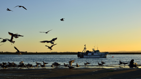 Fishing Pierのeditorial素材