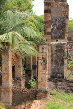 French Guiana - The islands of Hiの写真素材