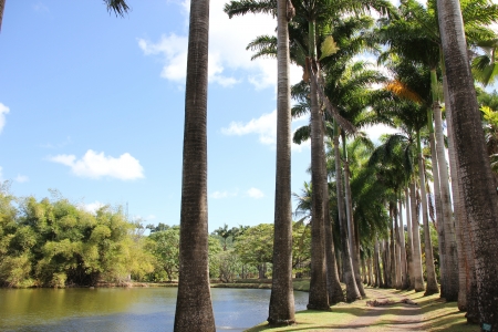 Martinique - Habitation Clementの写真素材