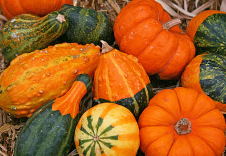 Close-up of group of small colorful gourds on hay bale 