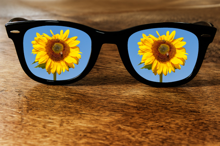 Sunflower Reflectionの写真素材