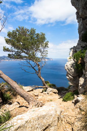 Bay of Pollenca on Mallorcaの写真素材
