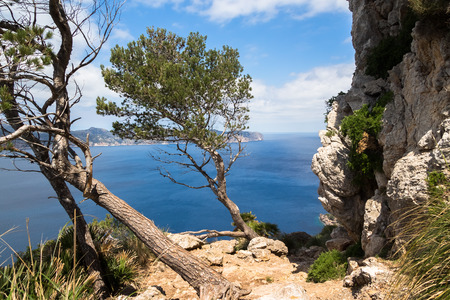 Bay of Pollenca on Mallorcaの写真素材
