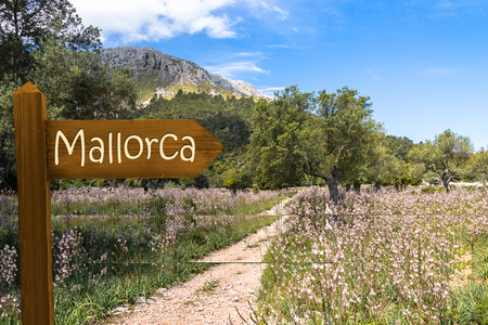 View of the Landscape near Lluc Monastery (Mallorca) from a the Hiking Pathの写真素材