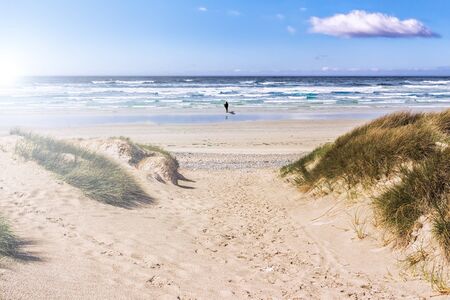 One Single Surfer on a Lonely Beach