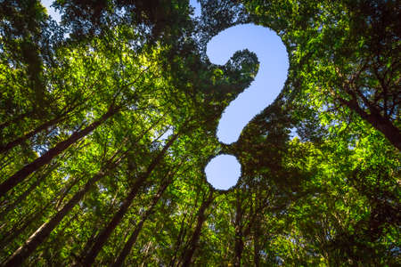 The Canopy of this Forest has a Hole in the Shape of a Question Mark