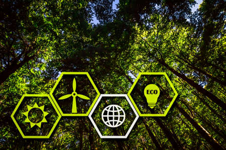 Four Sustainability Icons in Hexagon Shape in Front of a Lush Green Forestの写真素材