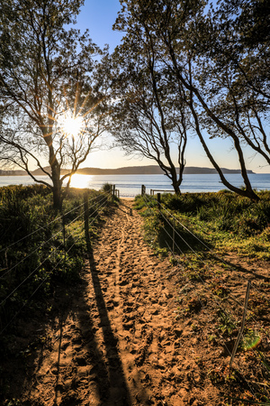 Sandy pathway leading to sunrise over ocean and beachの写真素材