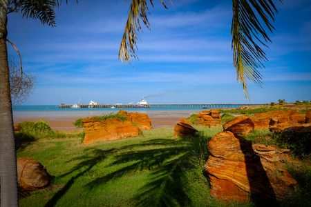 Scenic view of rocky coastline through palm treesの写真素材