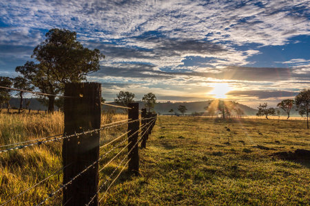 Sunrise over a rural landscape, casting golden light across farmland, trees, and open countryside....