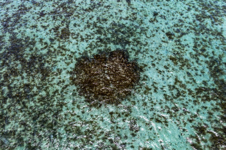 An aerial view of the coastal town in Queensland, Australia. The image captures turquoise waters, sandy beaches, lush headlands, and tranquil charmの写真素材
