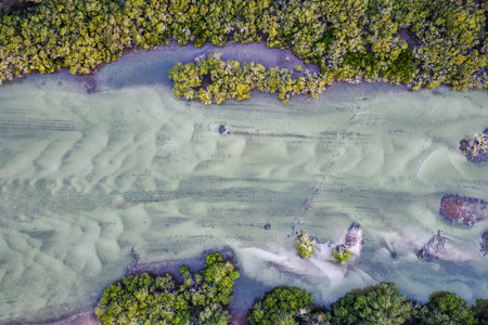 A breathtaking aerial view of the Mid North Coast of New South Wales, showcasing turquoise ocean waters, white sandy beachesの写真素材