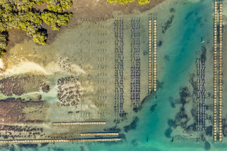 A breathtaking aerial view of Forster on the Mid North Coast of New South Wales, showcasing turquoise ocean waters, white sandy beaches, and the bridge linking Forster and Tuncurryの写真素材