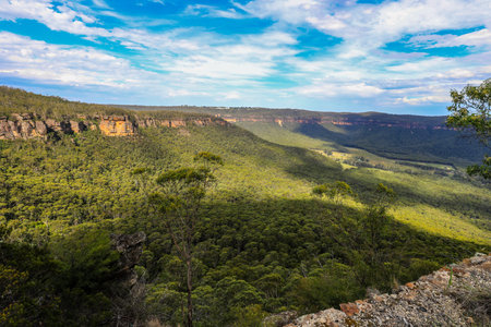 Scenic view from Hargraves Lookout in the Blue Mountains overlooking Grose Valley with forested...