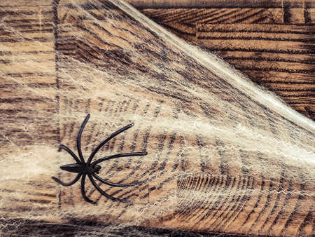 Halloween decoration with plastic black spider on spiderweb on wooden background.の写真素材